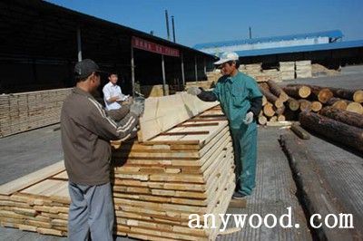 黑龍江遠東木業(yè)中國大型的專業(yè)木制品生產(chǎn)企業(yè)龍頭